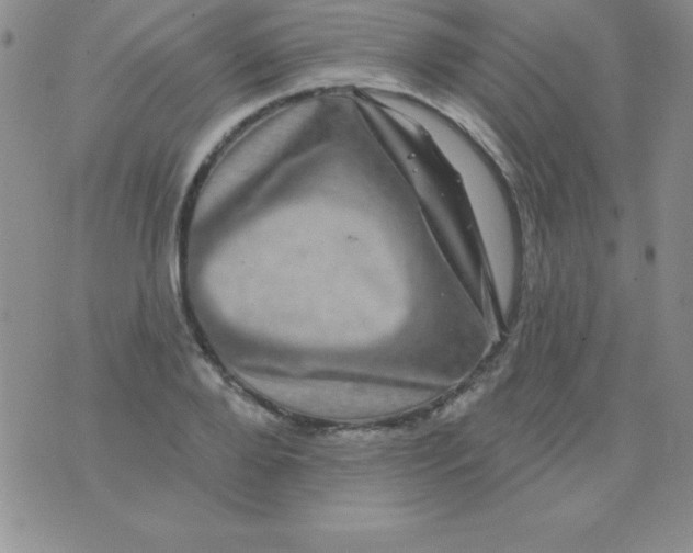 X0000075900888200610062115