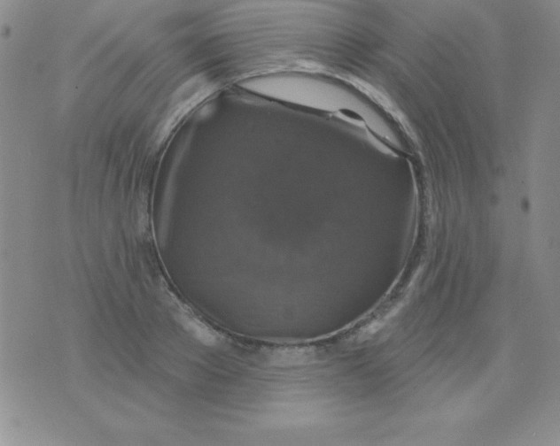 X0000075900889200610062115