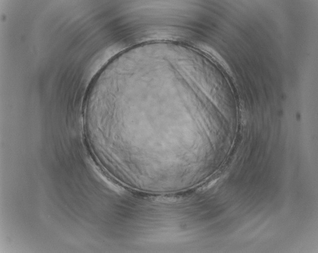 X0000075900890200610062115