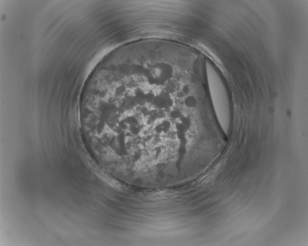 X0000075900891200610062115