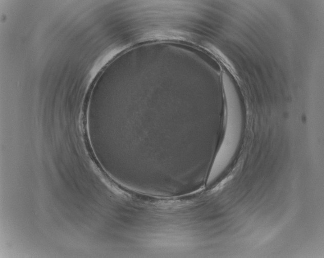 X0000075900893200610062115