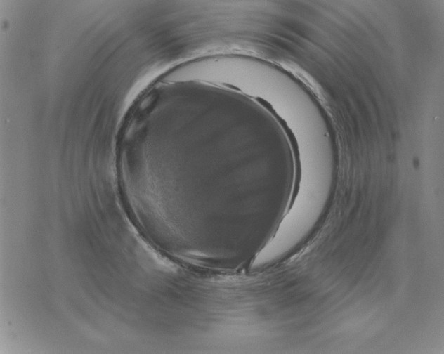 X0000075900894200610062115