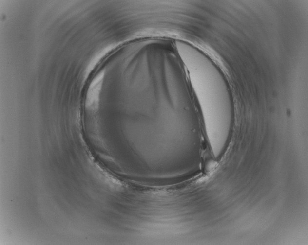 X0000075900896200610062115