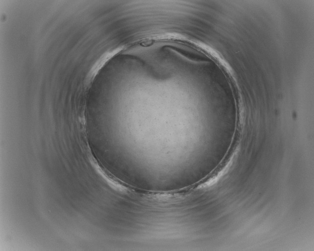 X0000075900897200610062115