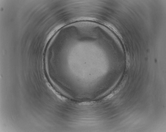 X0000075900898200610062115