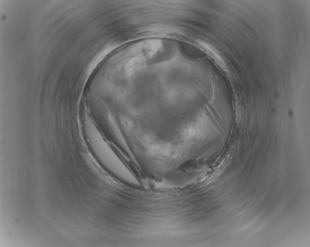 X0000075900899200610062115