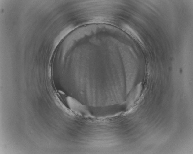 X0000075900900200610062115