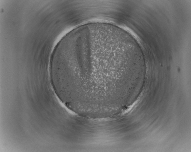 X0000075900902200610062115