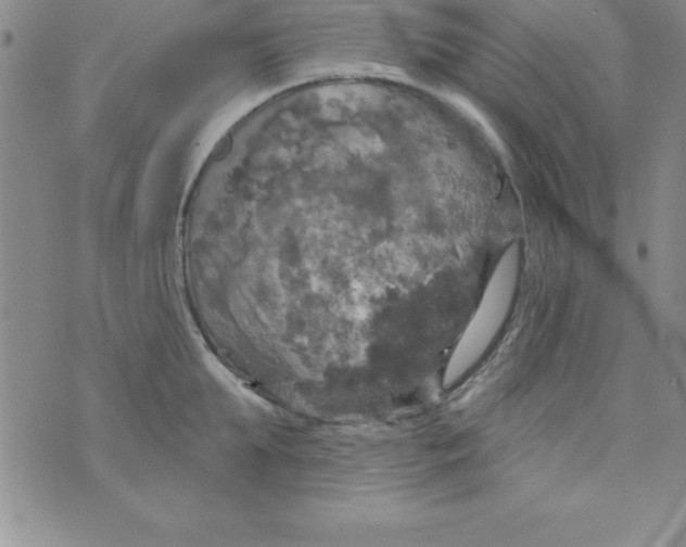 X0000075900903200610062115