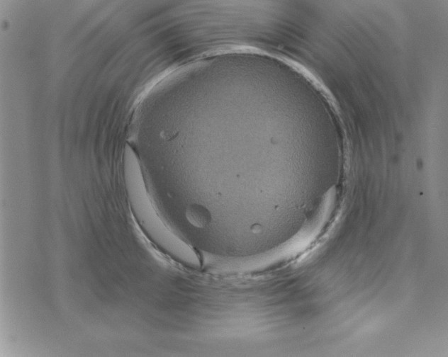 X0000075900905200610062115