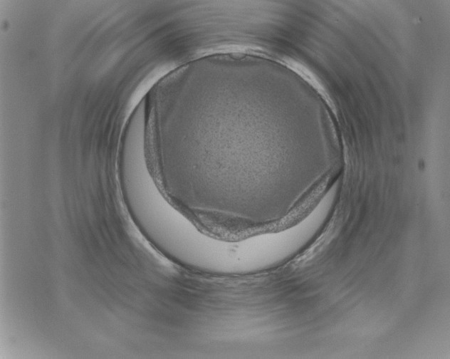 X0000075900906200610062115