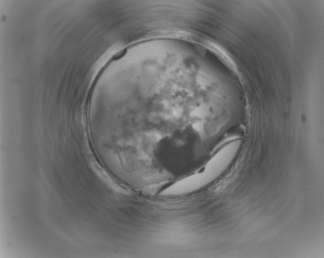 X0000075900907200610062115