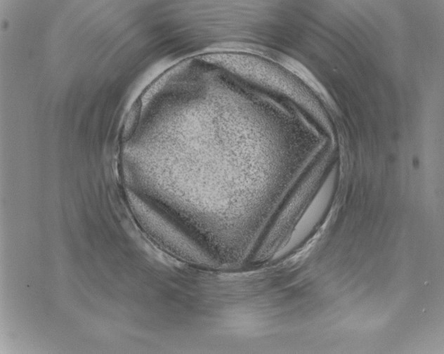 X0000075900908200610062115