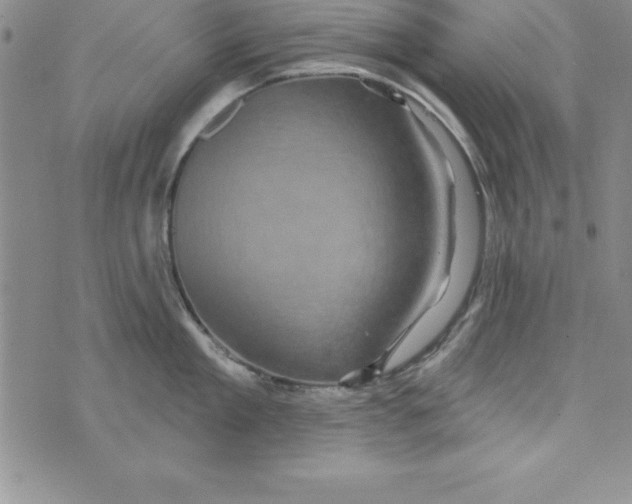 X0000075900909200610062115