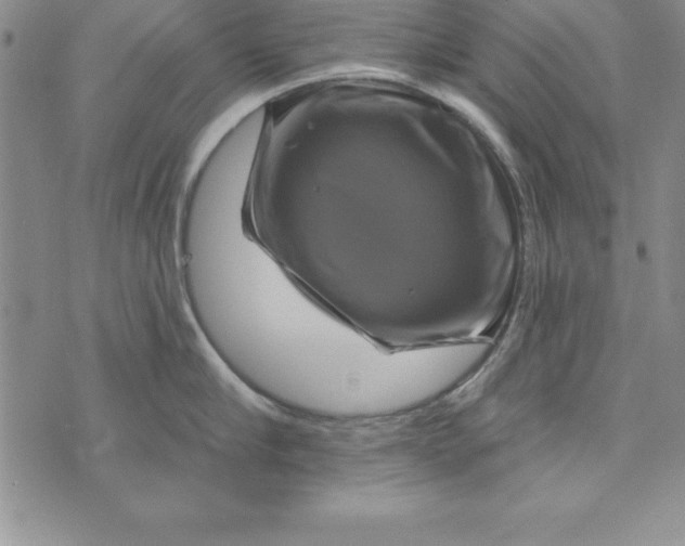 X0000075900910200610062114