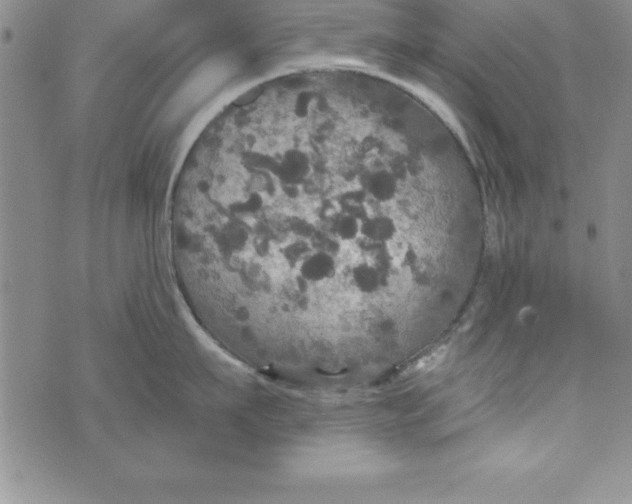 X0000075900911200610062114