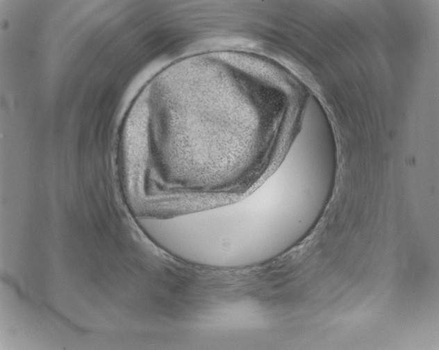 X0000075900912200610062114