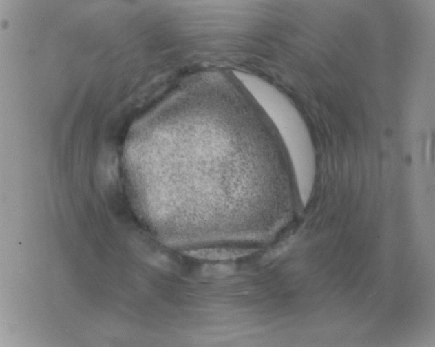 X0000075900914200610062114