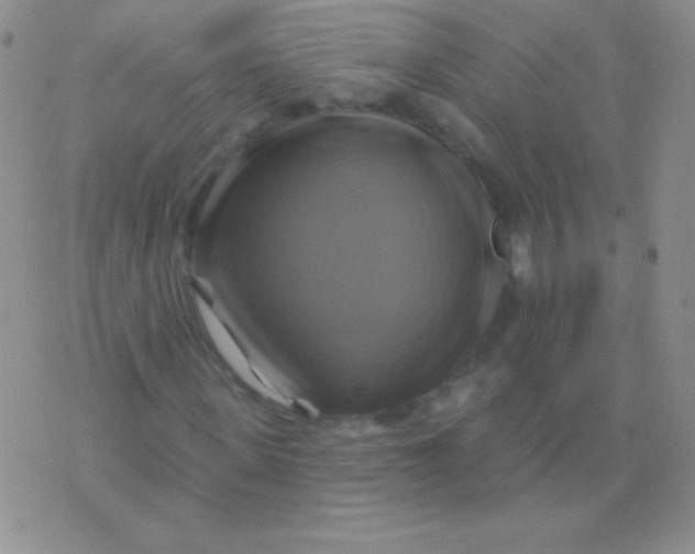 X0000075900915200610062114