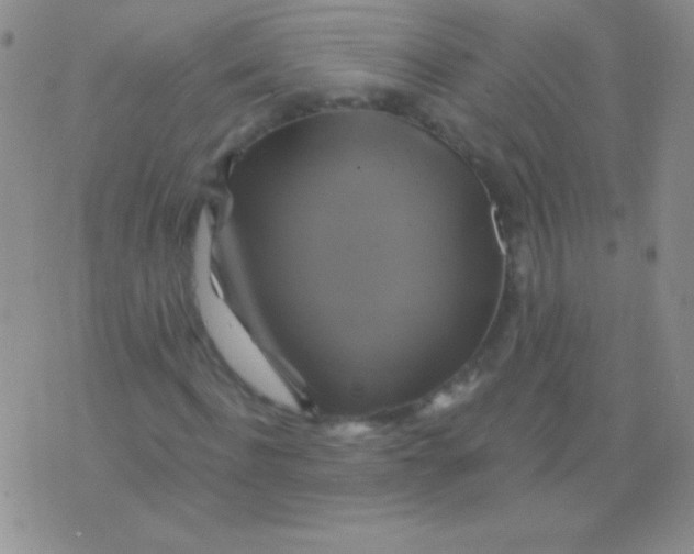 X0000075900916200610062114