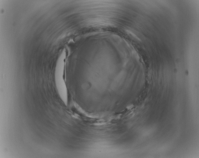 X0000075900917200610062114