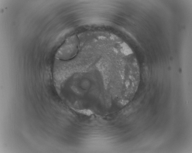 X0000075900918200610062114