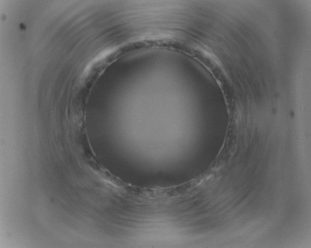 X0000075900920200610062114