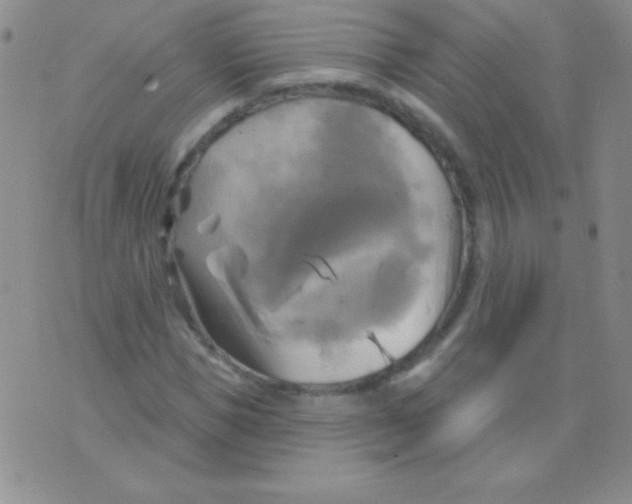 X0000075900921200610062114