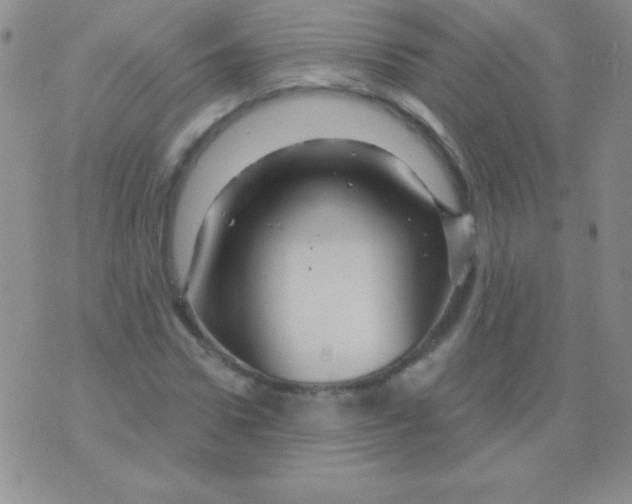 X0000075900922200610062114