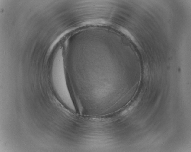 X0000075900923200610062114