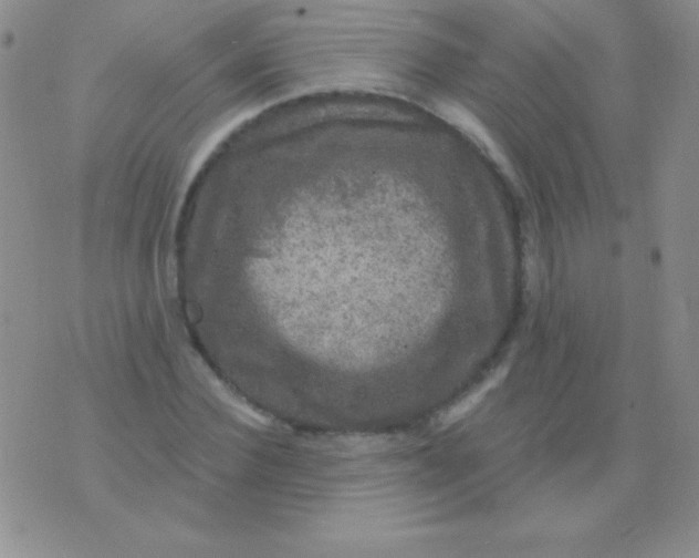 X0000075900924200610062114