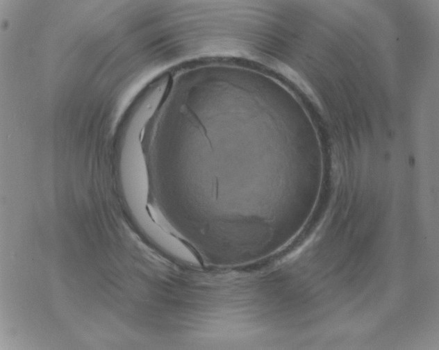 X0000075900926200610062114