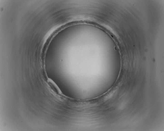 X0000075900927200610062114