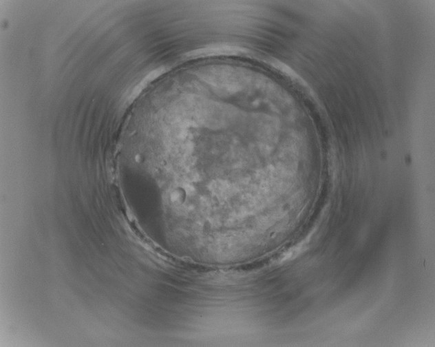 X0000075900929200610062114