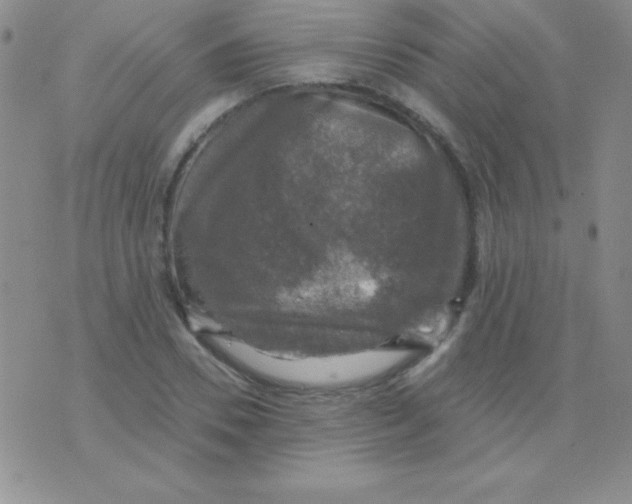 X0000075900930200610062114