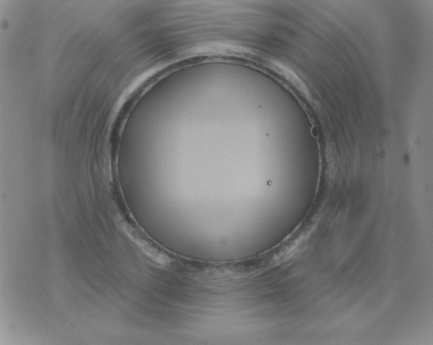 X0000075900931200610062114