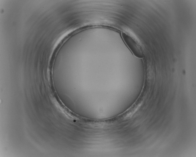 X0000075900932200610062114