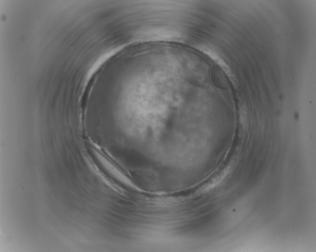 X0000075900933200610062114