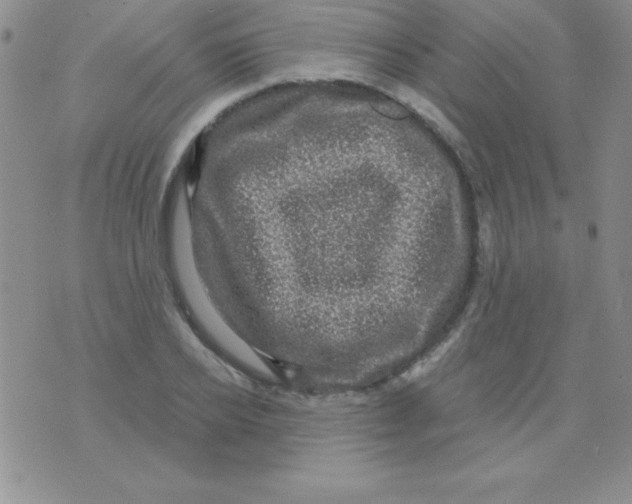 X0000075900934200610062114