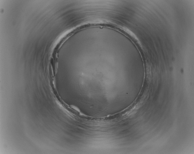 X0000075900935200610062114