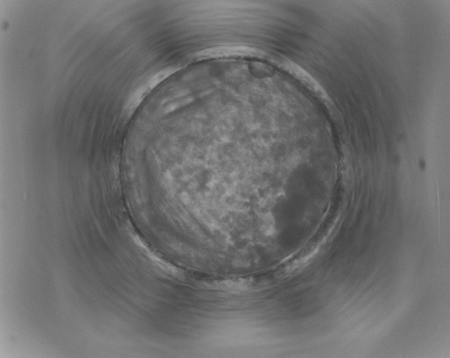 X0000075900937200610062114