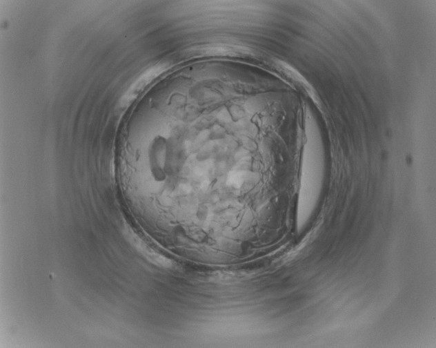 X0000075900938200610062114