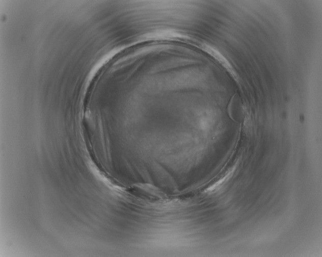 X0000075900939200610062114