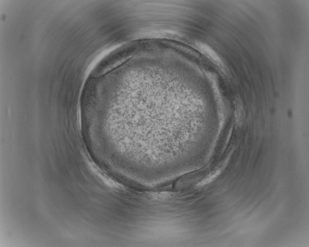 X0000075900940200610062114