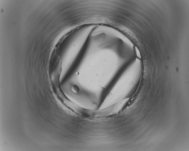 X0000075900942200610062114