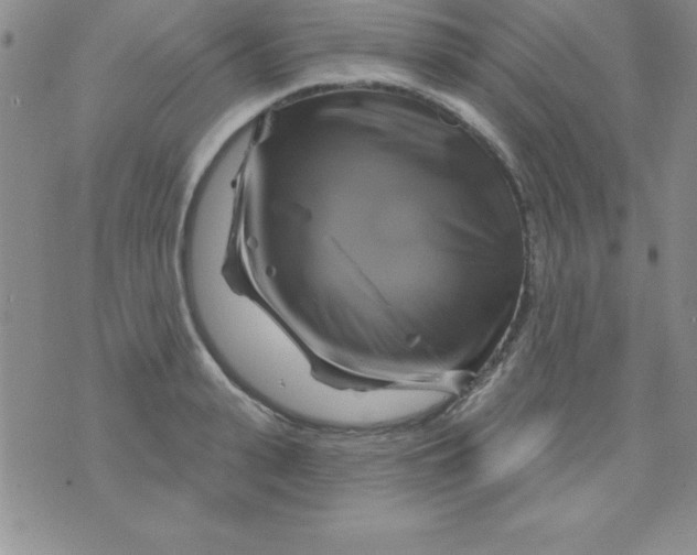 X0000075900943200610062114