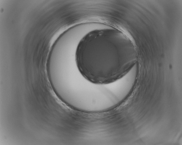 X0000075900944200610062114