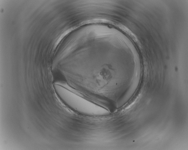 X0000075900945200610062114