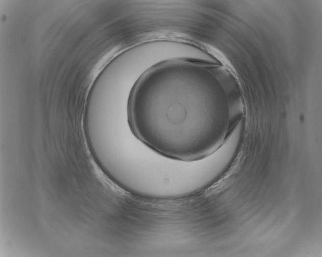 X0000075900946200610062114