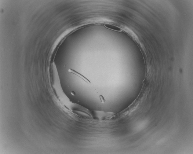 X0000075900947200610062114